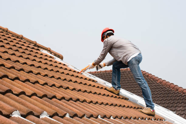 Best Green or Eco-Friendly Roofing Solutions  in USA